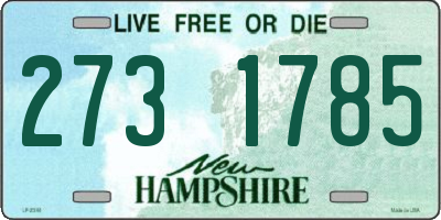 NH license plate 2731785
