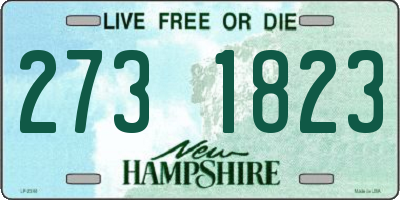 NH license plate 2731823