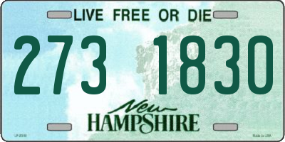 NH license plate 2731830