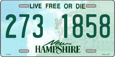 NH license plate 2731858