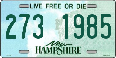NH license plate 2731985