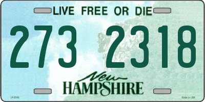 NH license plate 2732318