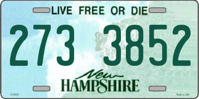 NH license plate 2733852