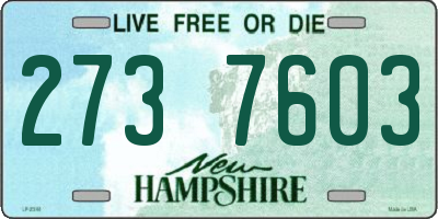 NH license plate 2737603