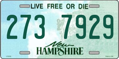 NH license plate 2737929