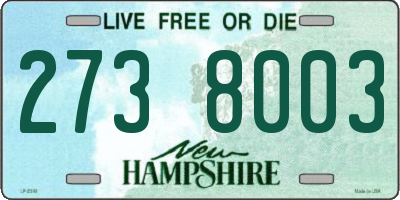 NH license plate 2738003
