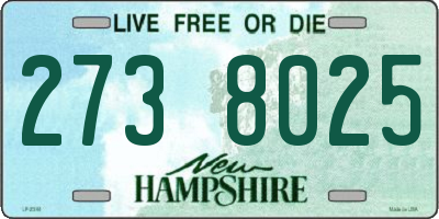 NH license plate 2738025