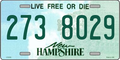 NH license plate 2738029