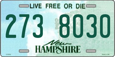 NH license plate 2738030