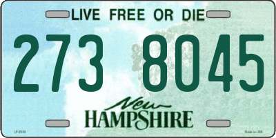 NH license plate 2738045