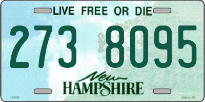 NH license plate 2738095