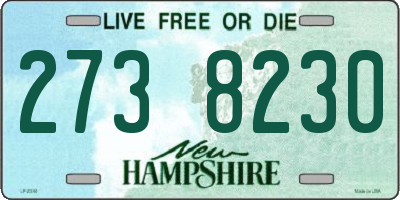 NH license plate 2738230