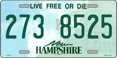 NH license plate 2738525
