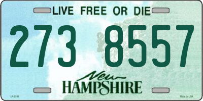 NH license plate 2738557