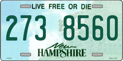 NH license plate 2738560