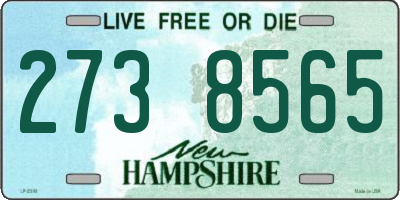 NH license plate 2738565