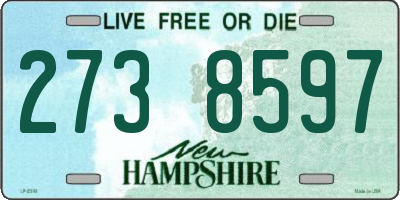 NH license plate 2738597