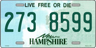 NH license plate 2738599