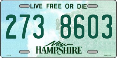 NH license plate 2738603
