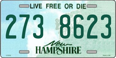 NH license plate 2738623