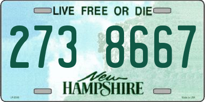 NH license plate 2738667
