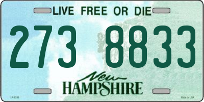 NH license plate 2738833