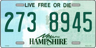 NH license plate 2738945