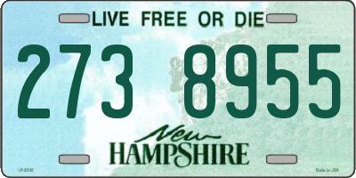 NH license plate 2738955