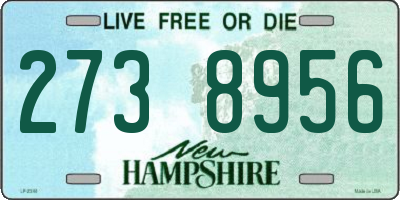 NH license plate 2738956