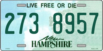 NH license plate 2738957