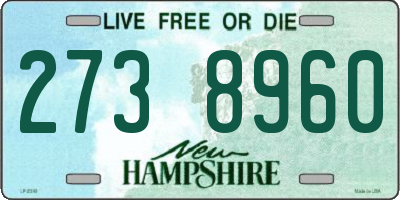 NH license plate 2738960