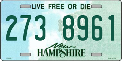 NH license plate 2738961