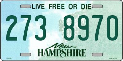 NH license plate 2738970