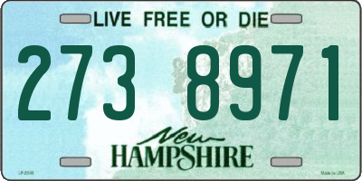 NH license plate 2738971
