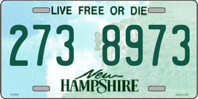 NH license plate 2738973