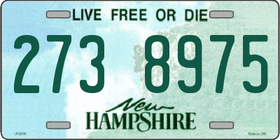 NH license plate 2738975
