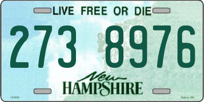 NH license plate 2738976