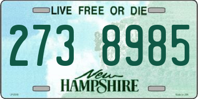 NH license plate 2738985