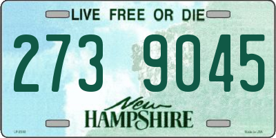 NH license plate 2739045