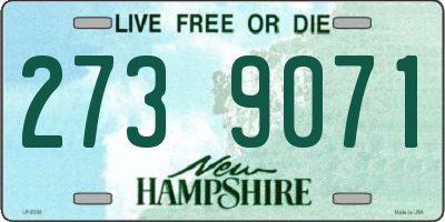 NH license plate 2739071