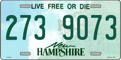 NH license plate 2739073
