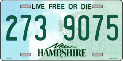 NH license plate 2739075