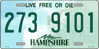 NH license plate 2739101