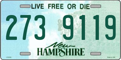 NH license plate 2739119