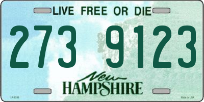 NH license plate 2739123