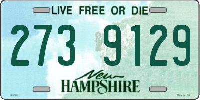NH license plate 2739129