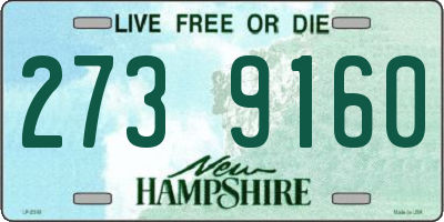 NH license plate 2739160