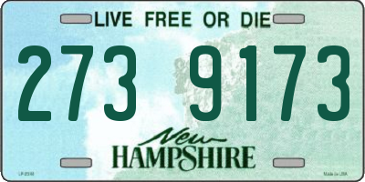 NH license plate 2739173