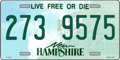 NH license plate 2739575