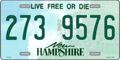NH license plate 2739576